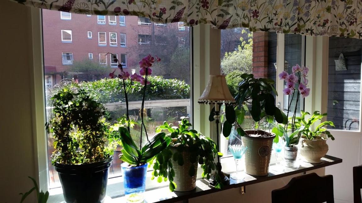 Two-Bedroom Apartment In City Center Of Malmoe Close To Copenhagen Bagian luar foto